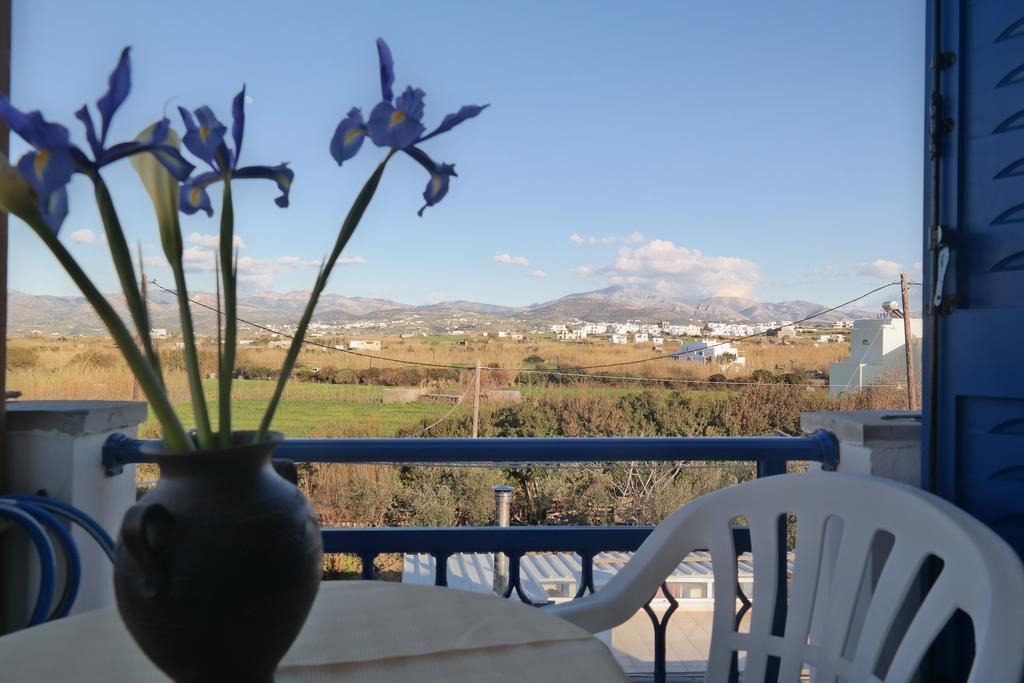 Mina'S Studios In Naxos Island Agios Prokopios  Exterior photo