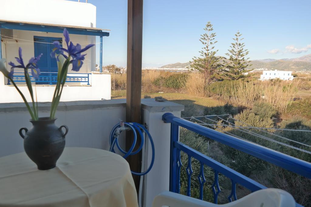 Mina'S Studios In Naxos Island Agios Prokopios  Room photo
